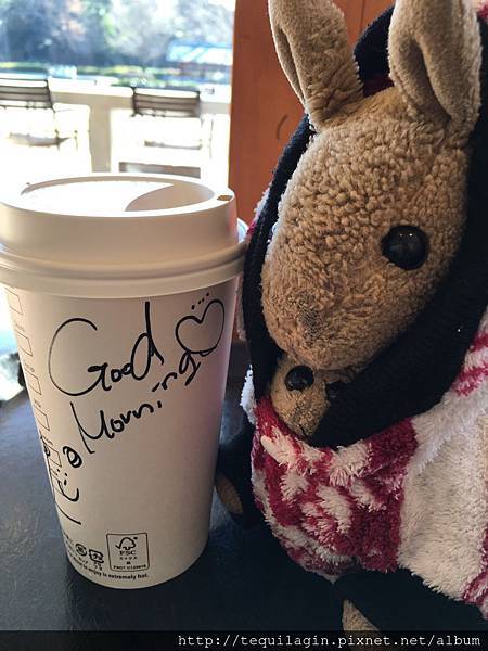 IMG_7843.jpg IMG_7843.jpg