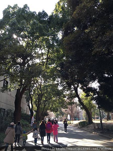 IMG_8005.jpg IMG_8005.jpg