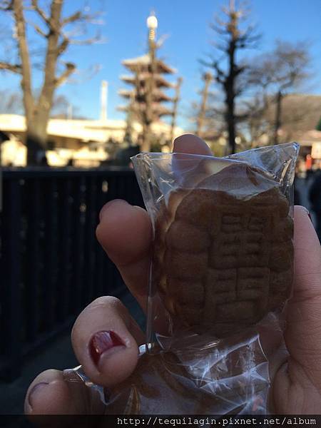 IMG_8068.jpg IMG_8068.jpg