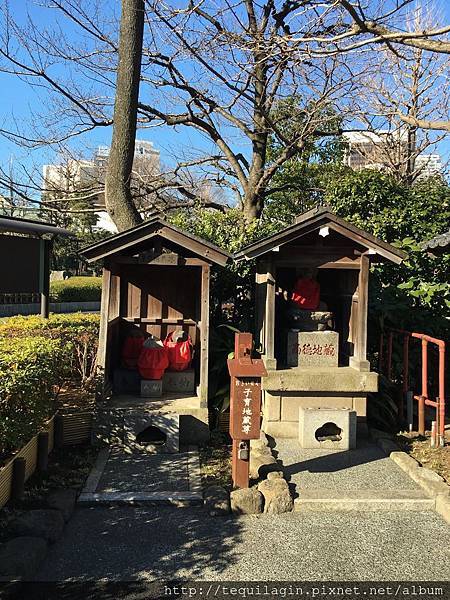 IMG_8079.jpg IMG_8079.jpg