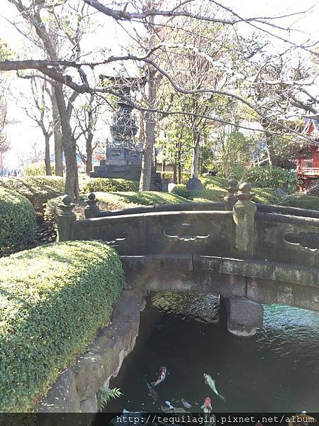 IMG_8119.jpg IMG_8119.jpg