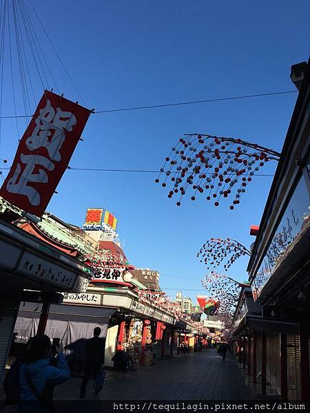 IMG_8065.jpg IMG_8065.jpg