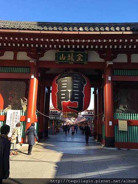 IMG_8062.jpg IMG_8062.jpg