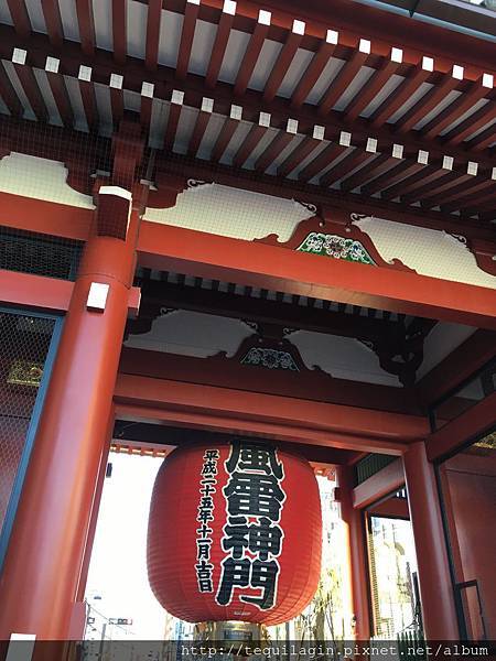 IMG_8063.jpg IMG_8063.jpg