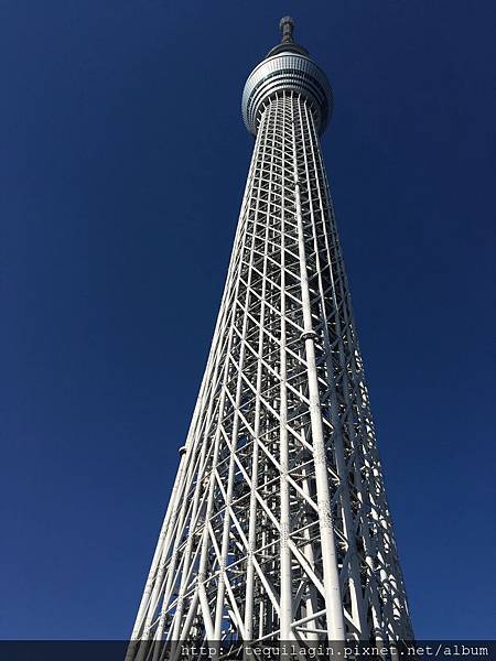 IMG_8137.jpg IMG_8137.jpg