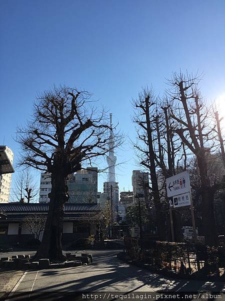 IMG_8071.jpg IMG_8071.jpg