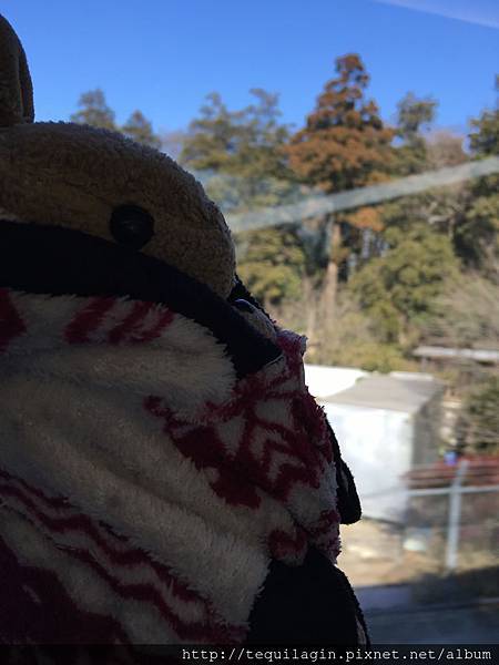 IMG_8259.jpg IMG_8259.jpg