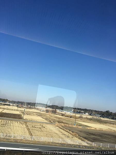 IMG_8261.jpg IMG_8261.jpg