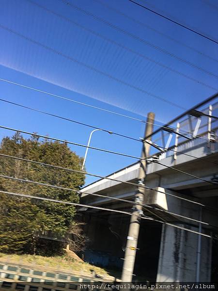 IMG_8260.jpg IMG_8260.jpg