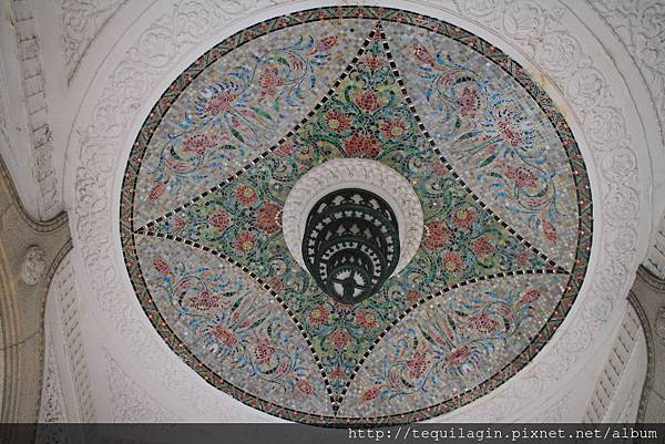 IMG_1215.JPG IMG_1215.JPG