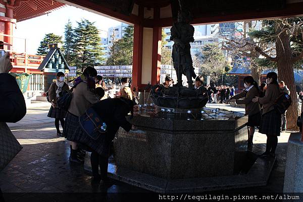 IMG_1372.JPG IMG_1372.JPG