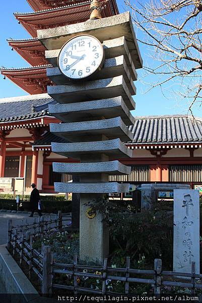 IMG_1382.jpg IMG_1382.jpg