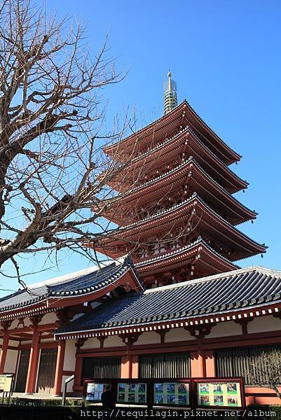 IMG_1381.jpg IMG_1381.jpg