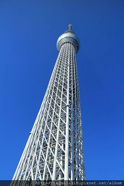 IMG_1385.jpg IMG_1385.jpg