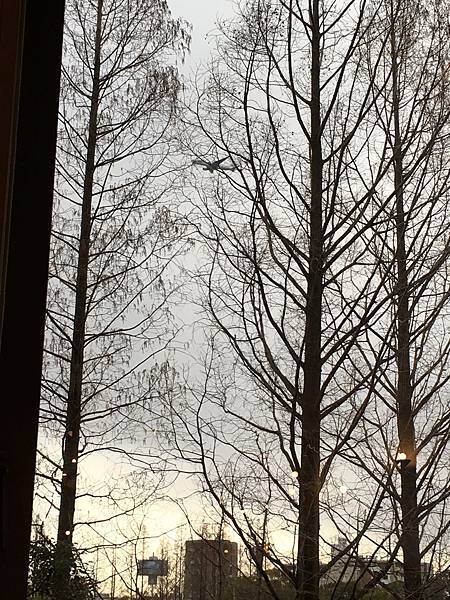 IMG_5709.jpg IMG_5709.jpg
