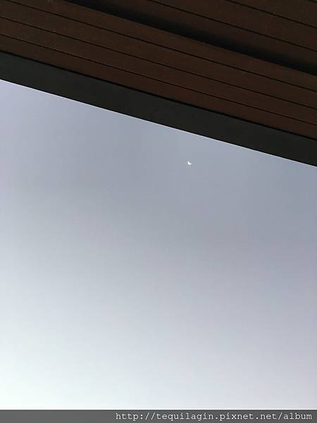 IMG_8676.jpg IMG_8676.jpg