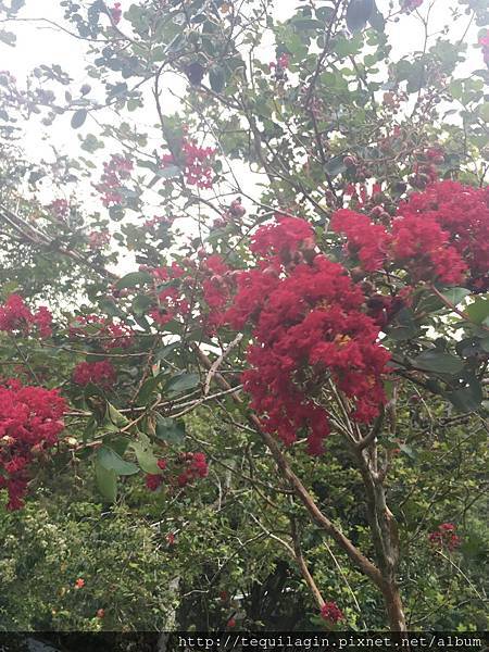 IMG_8737.jpg IMG_8737.jpg