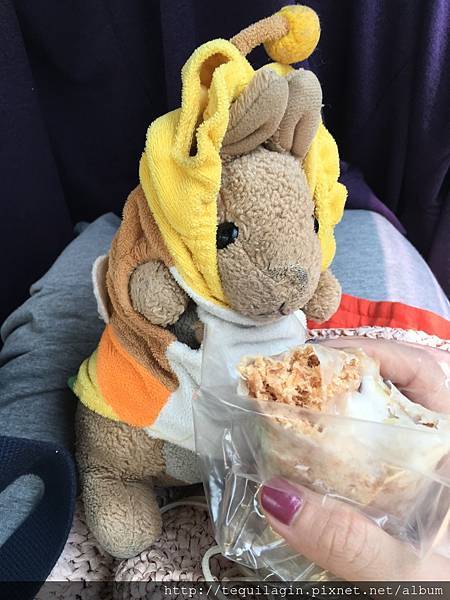 IMG_8758.jpg IMG_8758.jpg