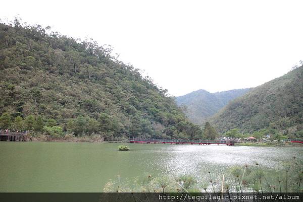 IMG_1724.JPG IMG_1724.JPG