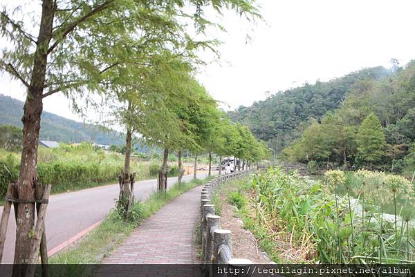 IMG_1728.JPG IMG_1728.JPG