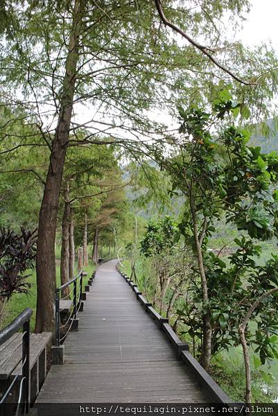 IMG_1731.JPG IMG_1731.JPG