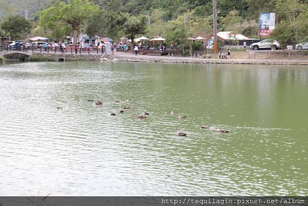 IMG_1741.JPG IMG_1741.JPG