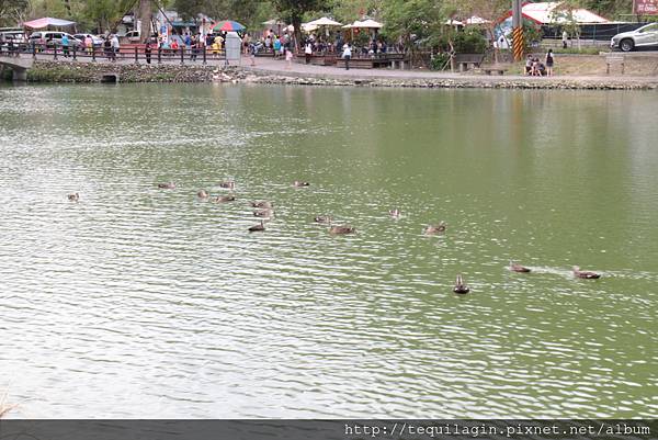 IMG_1740.JPG IMG_1740.JPG