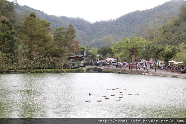 IMG_1742.JPG IMG_1742.JPG