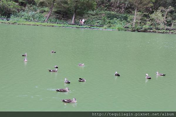 IMG_1746.JPG IMG_1746.JPG