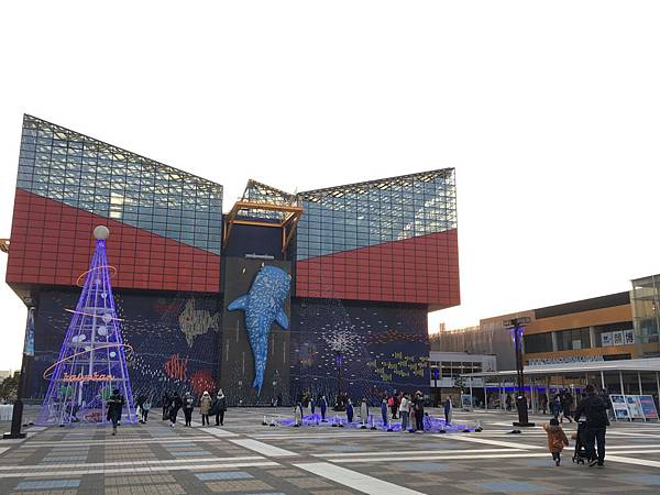 IMG_1956.JPG IMG_1956.JPG