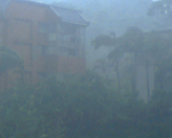 災情慘重之煙雨濛濛