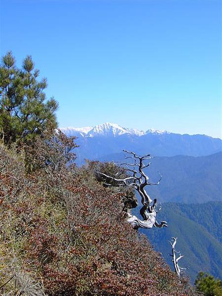 南湖大山與白木