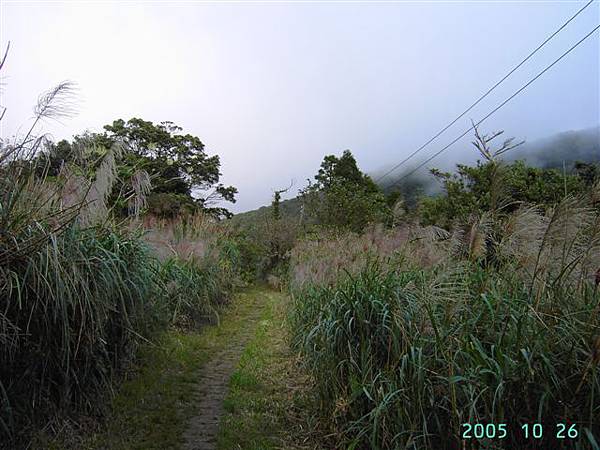 往二子坪通路