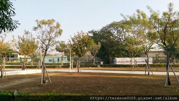 20210201_NSTM-A16.jpg