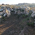 IMG_3678.jpg