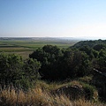 IMG_1879.jpg