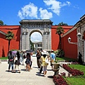 IMG_4945.jpg