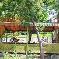 IMG_4474.jpg