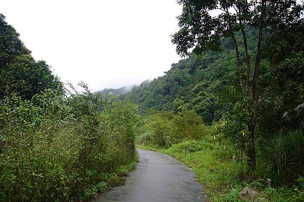 P1100058.JPG