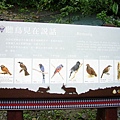 P1100091.JPG