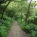 P1100100.JPG