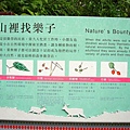 P1100101.JPG
