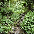 P1100105.JPG