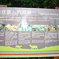 P1100106.JPG