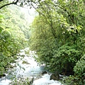 P1100110.JPG