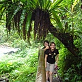 P1100123.JPG