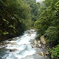 P1100126.JPG