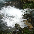 P1100135.JPG