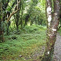 P1100137.JPG