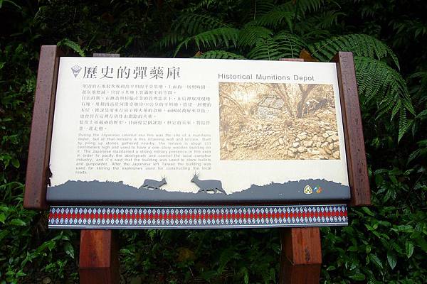P1100140.JPG